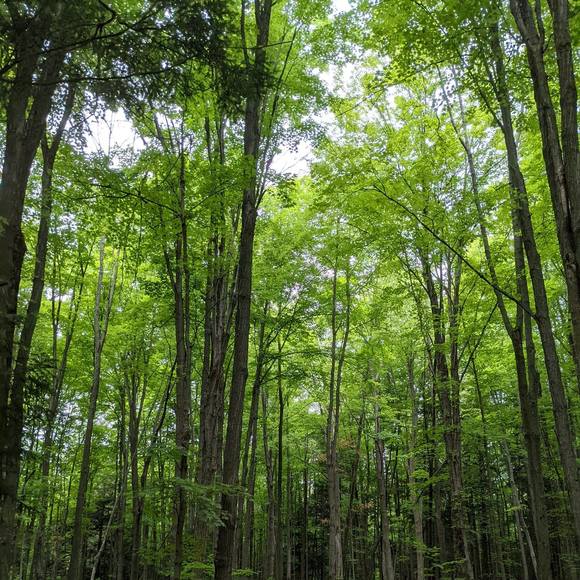 Meet your Posher, Jodie - Picture 1 of 1